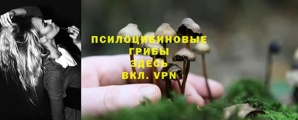 ПСИЛОЦИБИНОВЫЕ ГРИБЫ Абинск