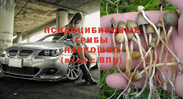 ПСИЛОЦИБИНОВЫЕ ГРИБЫ Абинск