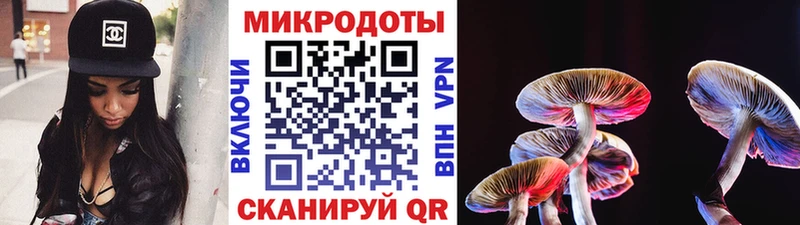 Галлюциногенные грибы ЛСД  Чухлома 